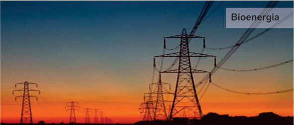 Bioenergia